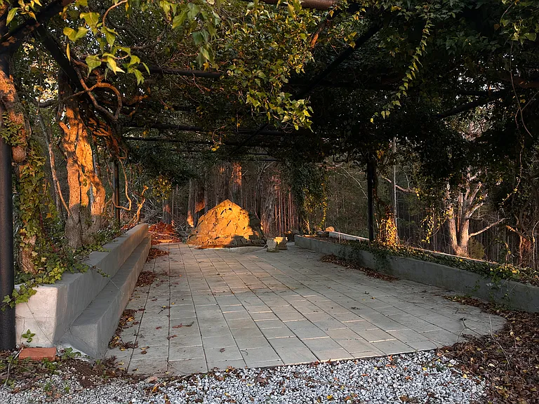 vine arbor
