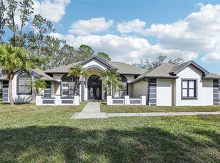 1010 Emerald Creek Dr, Valrico, FL 33596