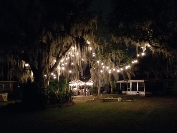 Beautiful Edison Lights