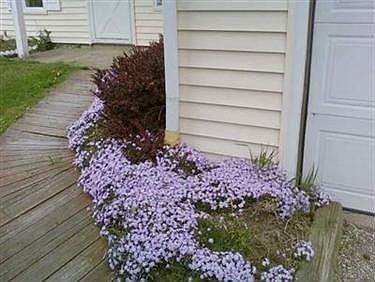 2nd image of 4219 Raymond Dr