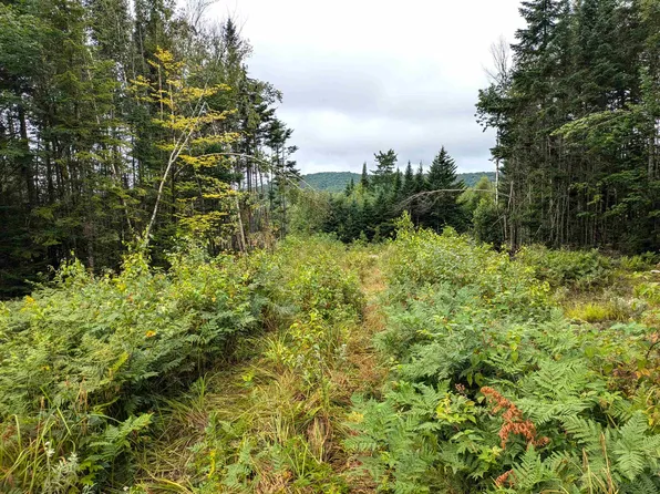 Lot 33 Goldilocks Lane, Pittsburg, NH 03592