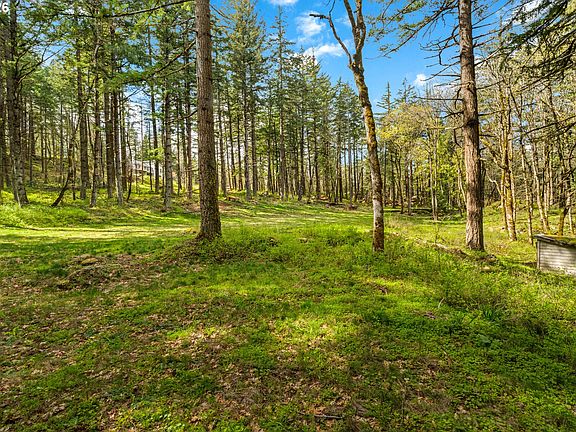 3rd image of 445 Country Club Rd