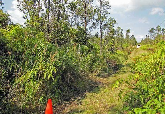 Looking into Lot 46 from left corner.
