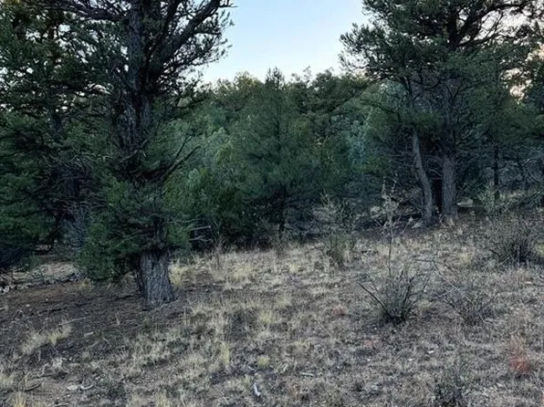 42nd Trl, Cotopaxi, CO 81223
