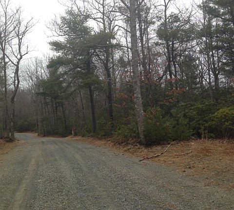 5th image of 44 Forest Green Dr.