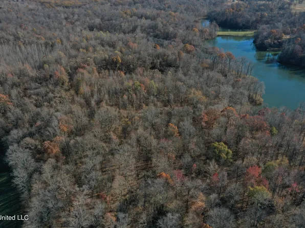 10150 Green River Rd, Lake Cormorant, MS 38641