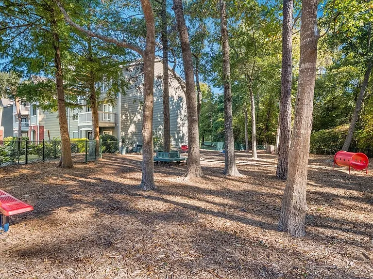 Palmetto Pointe Apartment Homes — Photo 6