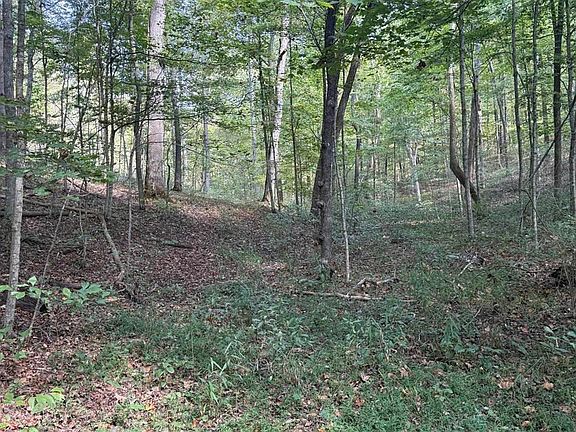 3rd image of 0 Mill Creek Rd