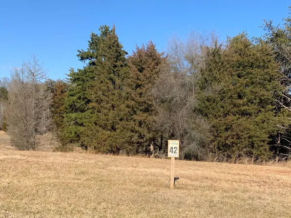 LOT 42 Farm Dr, Moneta, VA 24121
