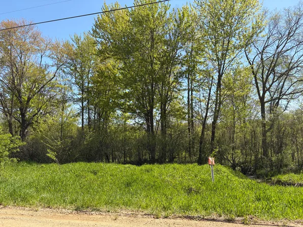 0 41st St Parcel D, Paw Paw, MI 49079