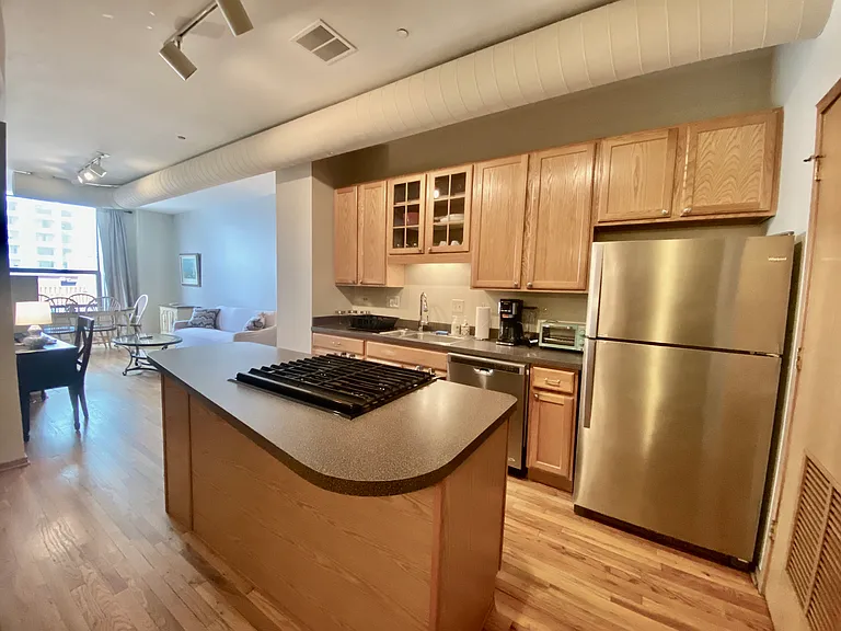 910 S Michigan Ave #1308 — Photo 4