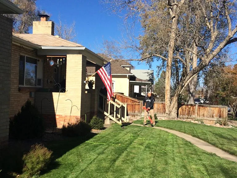 Front yard
