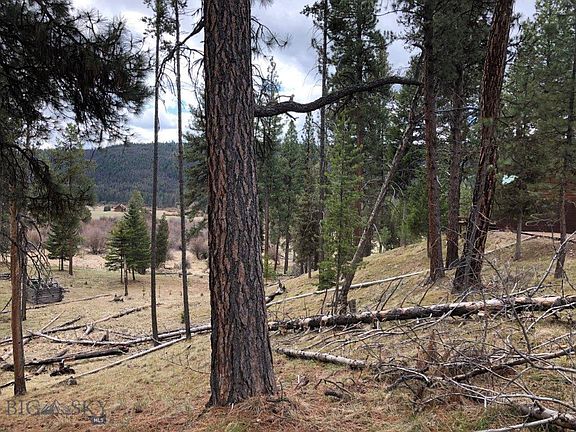 3rd image of 257 Wagon Wheel Way