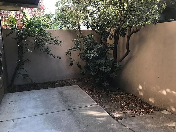 Back patio from the living room
