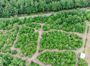 LOT 5 Annie Penton Rd, Jay, FL 32565