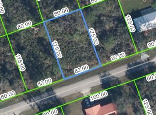 843 Archie Summers Rd, Lake Placid, FL 33852