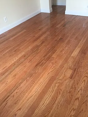 Rented by Alexander Bilu, LREB | media 30