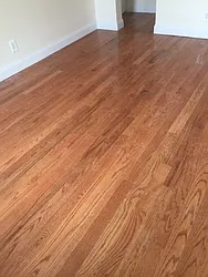 Rented by Alexander Bilu, LREB