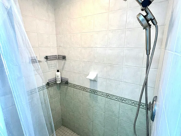 Master Shower