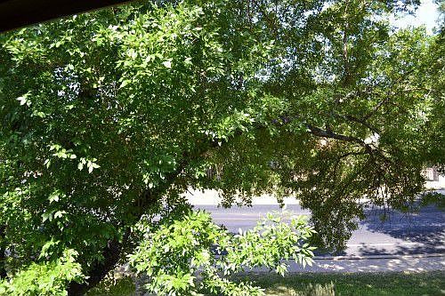 5th image of 9009 N Plaza Dr #103
