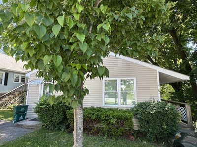 5 Loring St, Worcester, MA, 01606