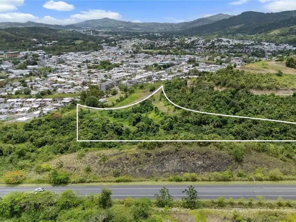 442 Urb Valle Alto Ave, Cayey, PR 00736