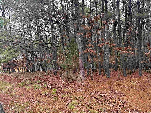 2nd image of 45 Largo Dr
