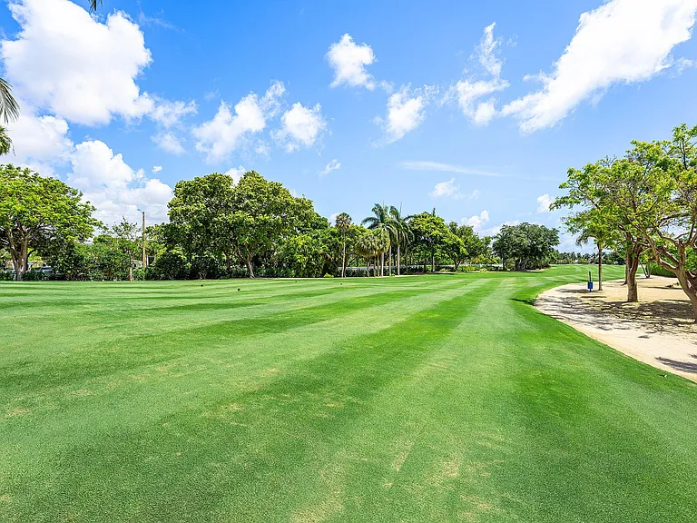 1851 Thatch Palm Dr — Photo 46