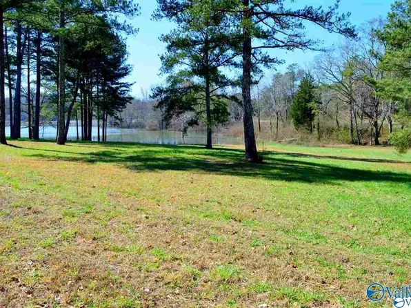 4060 State Highway 273, Leesburg, AL 35983