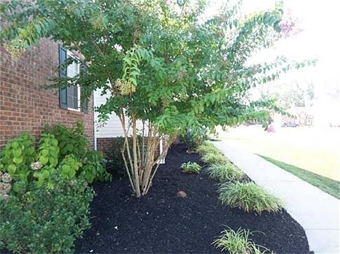 2nd image of 2496 Old Timber Ct