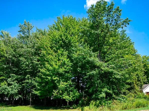 Centennial St, Geneva, OH 44041