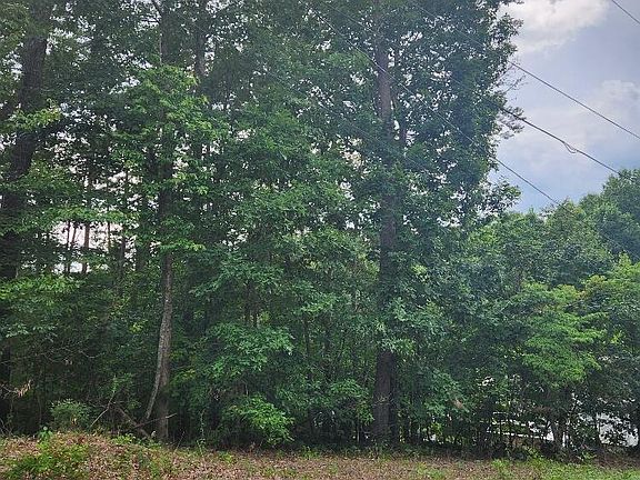 3rd image of 58 Hill Dr