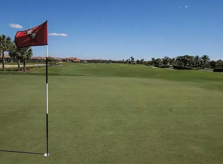 Golf anyone