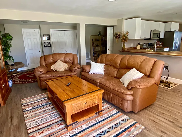 Sideview: Living room with leather sofas