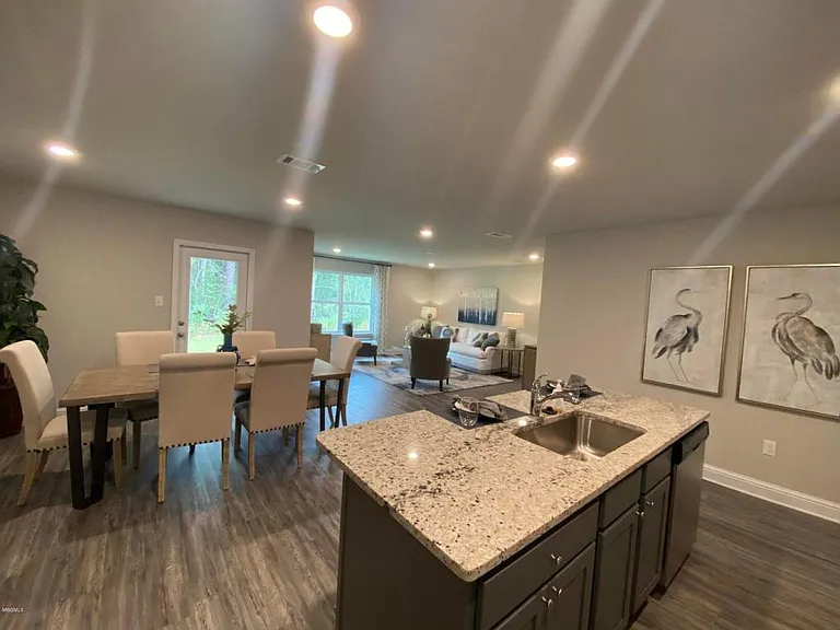 10222 Orchid Magnolia Dr — Photo 8