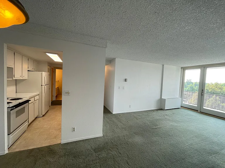 421 S Howes St #703 — Photo 25