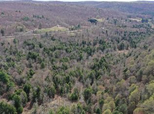 0 Wyncoop Creek Rd, Erin, NY 14838