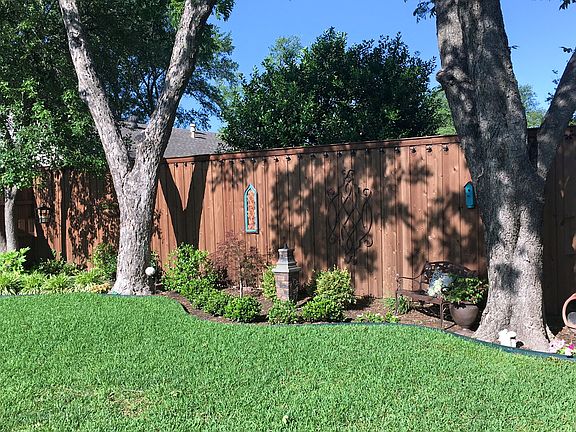 Huge trees and Cedar Fence