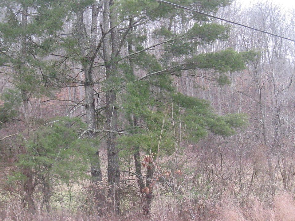 2nd image of 4817 Highway 472