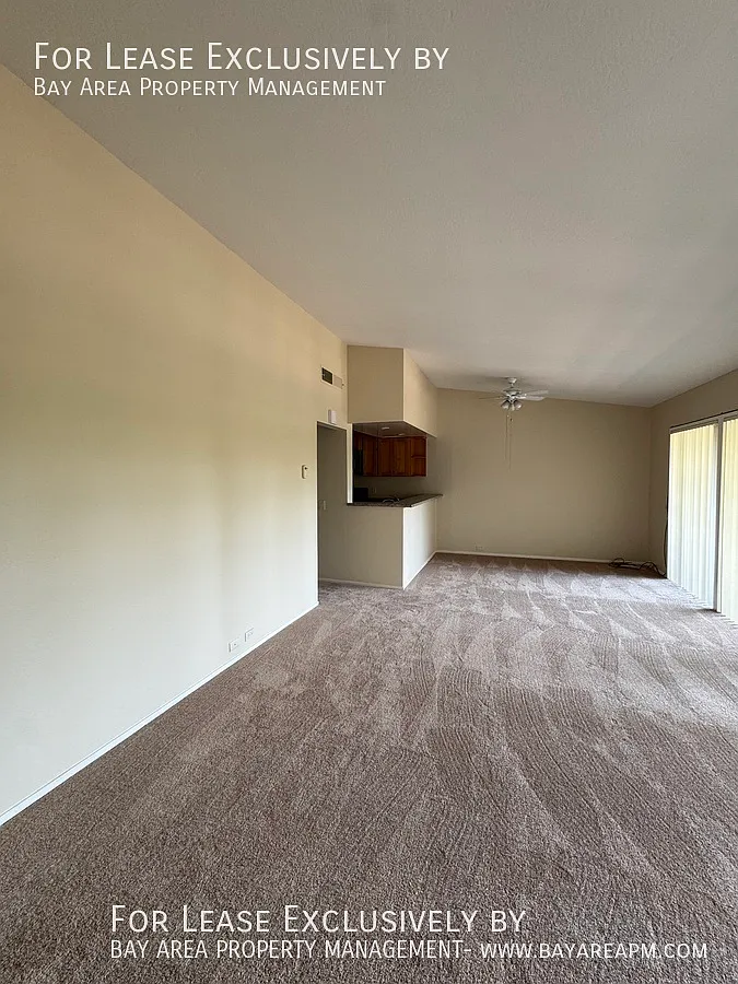 Great 2BR/1BA Apartment with pool, blocks from University Avenue — Photo 2