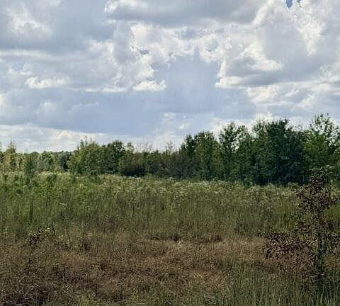 4th image of TRACT 4 Highway 334