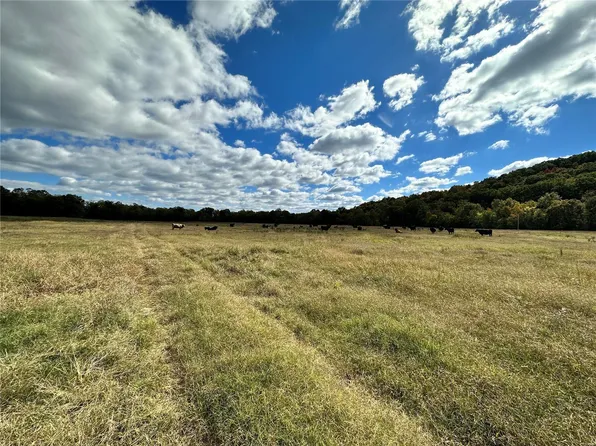 49 Highway, Mill Spring, MO 63952