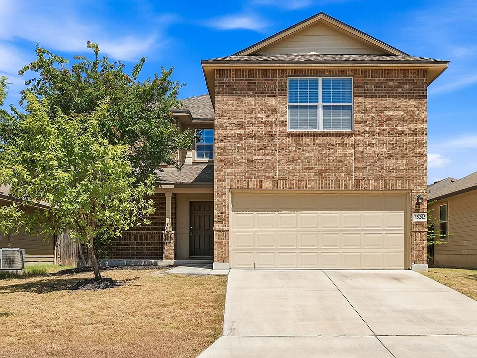 15243 Cinnamon Teal