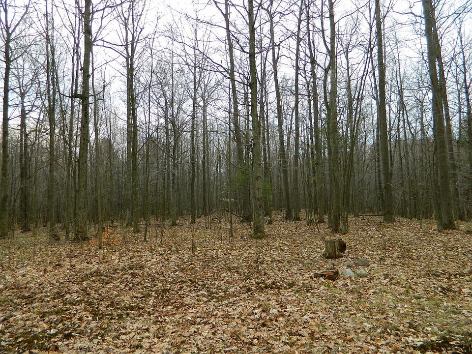 2nd image of 9065 W Pierce Rd