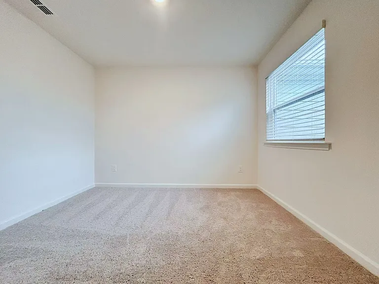 1117 Mountain Crown St — Photo 16