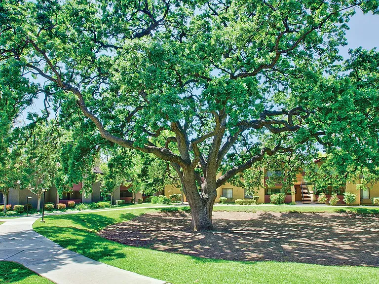 Relax in the shade of our large oak trees