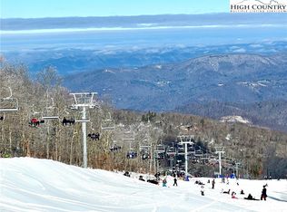 301 Pinnacle Inn Rd #3205, Banner Elk, NC 28604