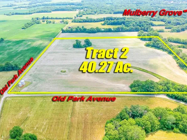 0 Old Park Ave, Mulberry Grove, IL 62262