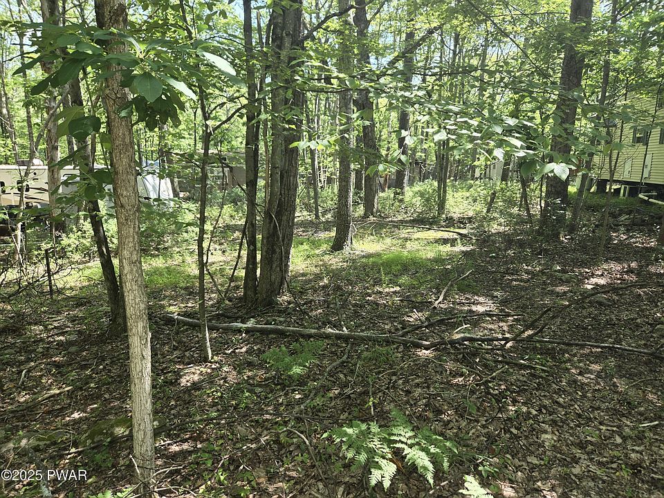 2nd image of Mohican Rd