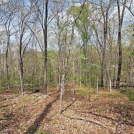 2nd image of 0 Winters Dr